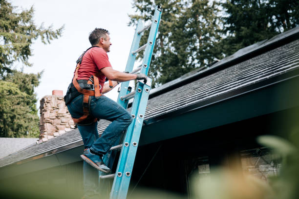 Best Roof Moss and Algae Removal  in West Rson, CA